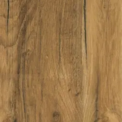 Дуб Вотан табачный