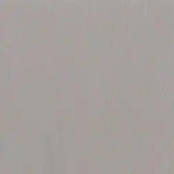 Тополь Грей